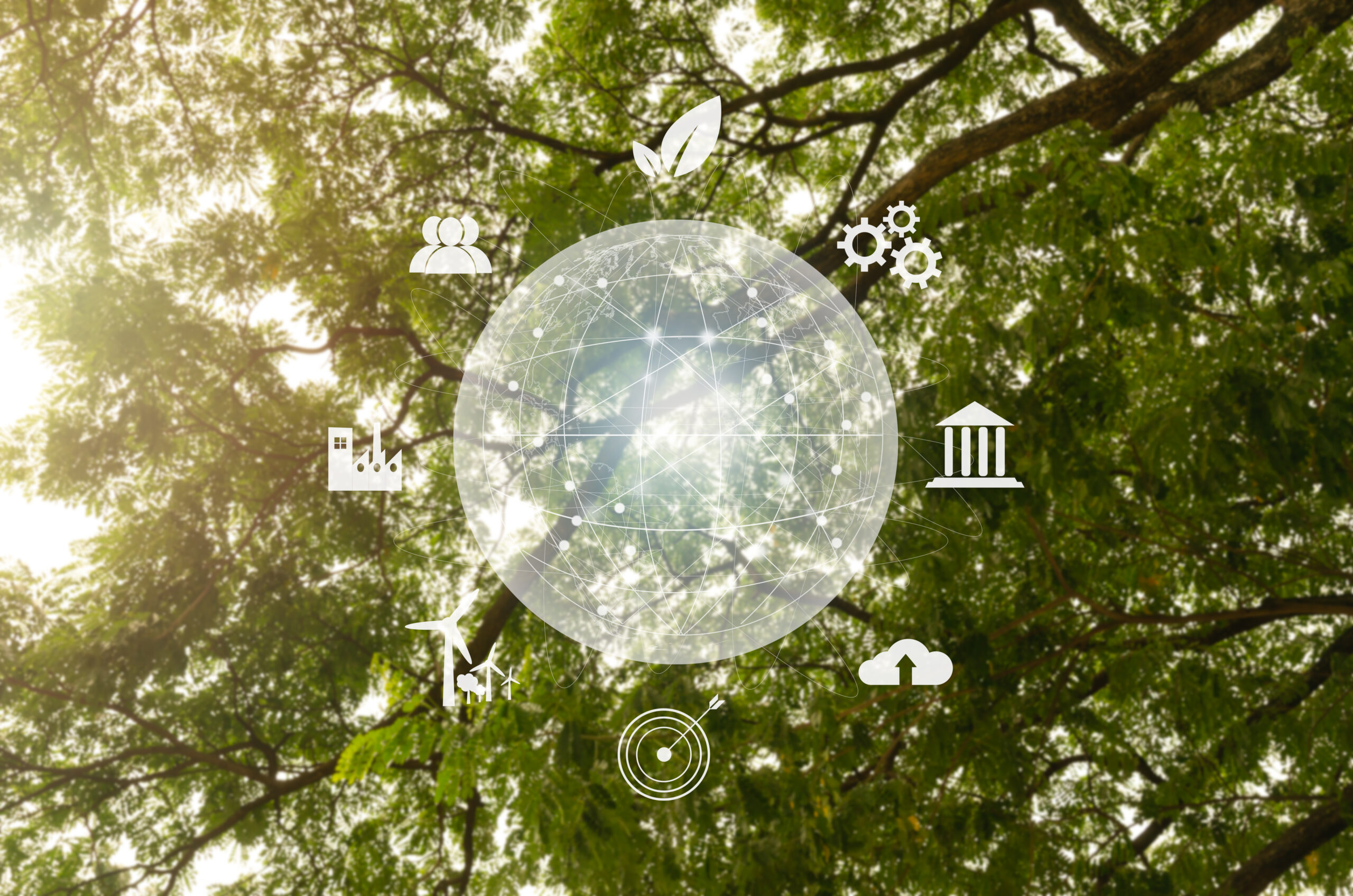 Global symbol eco Sustainable business on network connection on green tree background environmental icon ESG and net zero concept. Global symbol eco Sustainable business on network connection on green tree background environmental icon ESG and net zero concept.